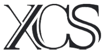 Xenova Consultancy Services